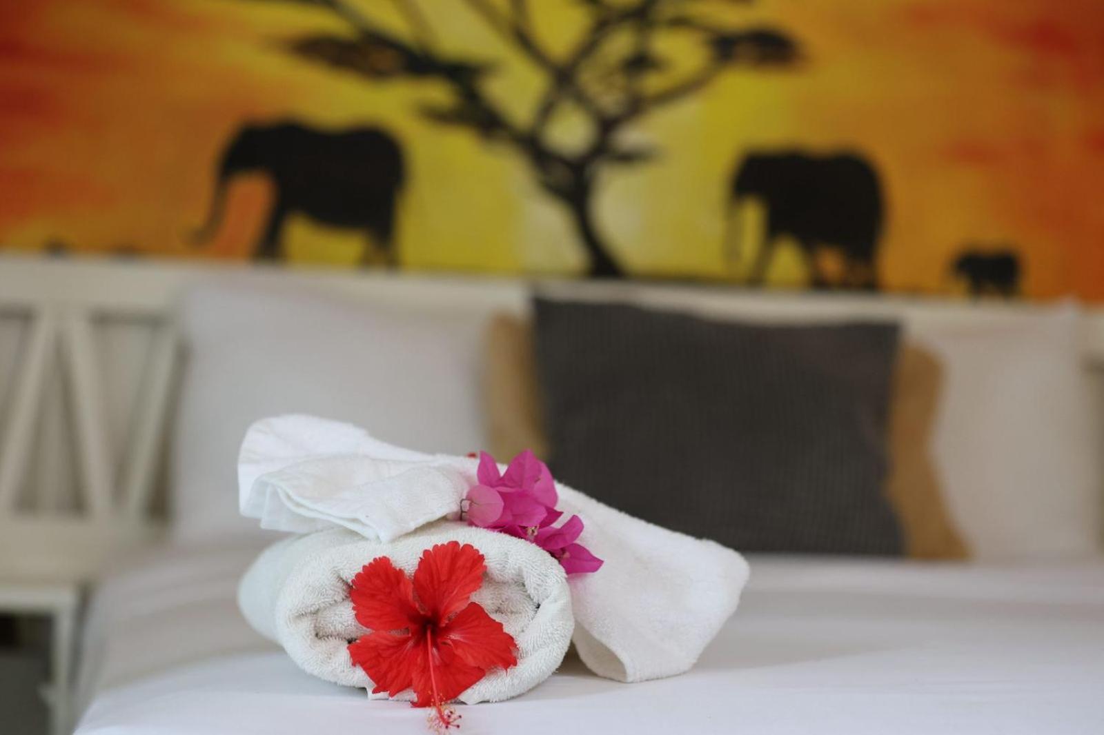 Afreeka Beach Hotel Las Terrenas Εξωτερικό φωτογραφία