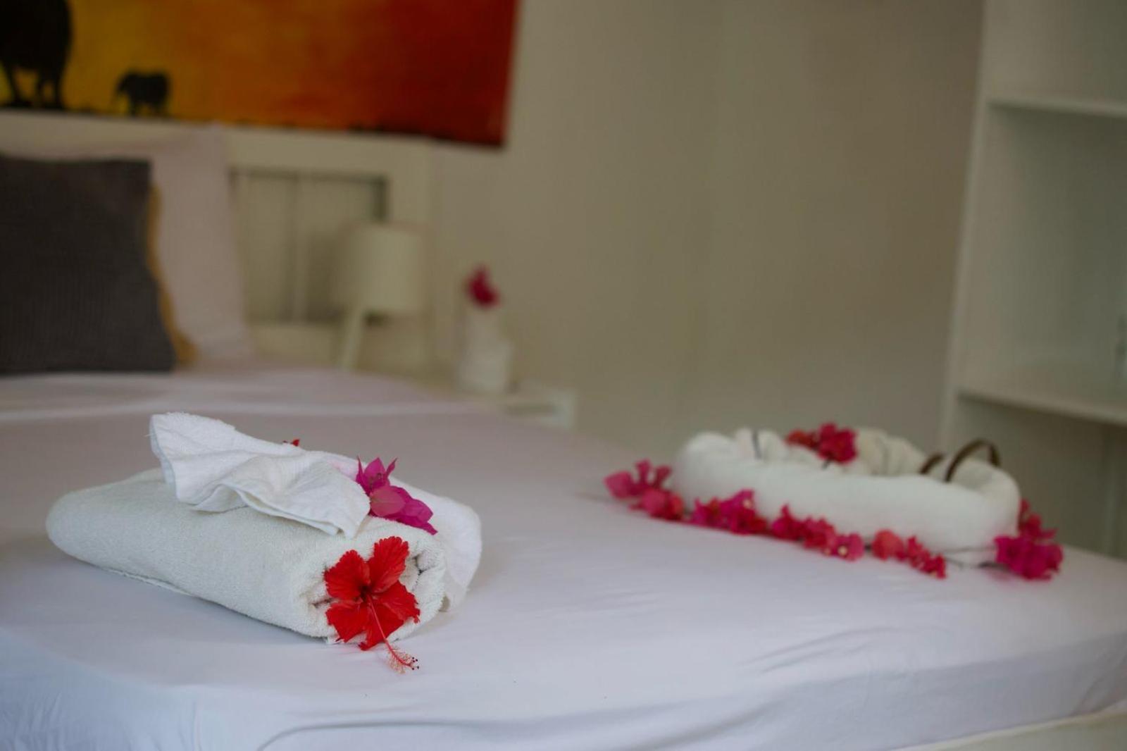 Afreeka Beach Hotel Las Terrenas Εξωτερικό φωτογραφία