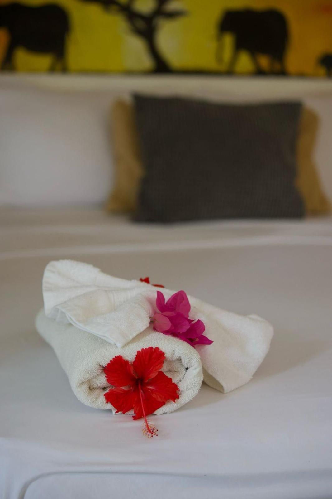 Afreeka Beach Hotel Las Terrenas Εξωτερικό φωτογραφία